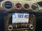 2021 Ford Mustang Mach 1